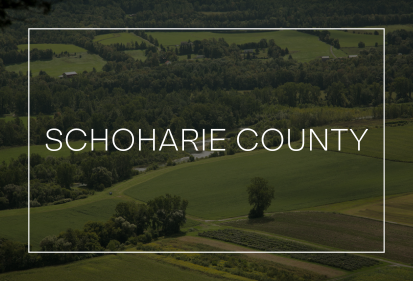 Schoharie County market update